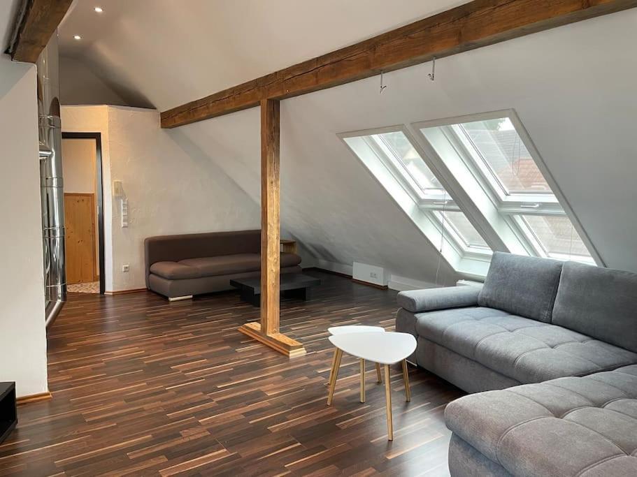 Maisonette Apartment Family & Business Naehe Heidelberg I Kueche I 6 Schlafplaetze Sinsheim Luaran gambar