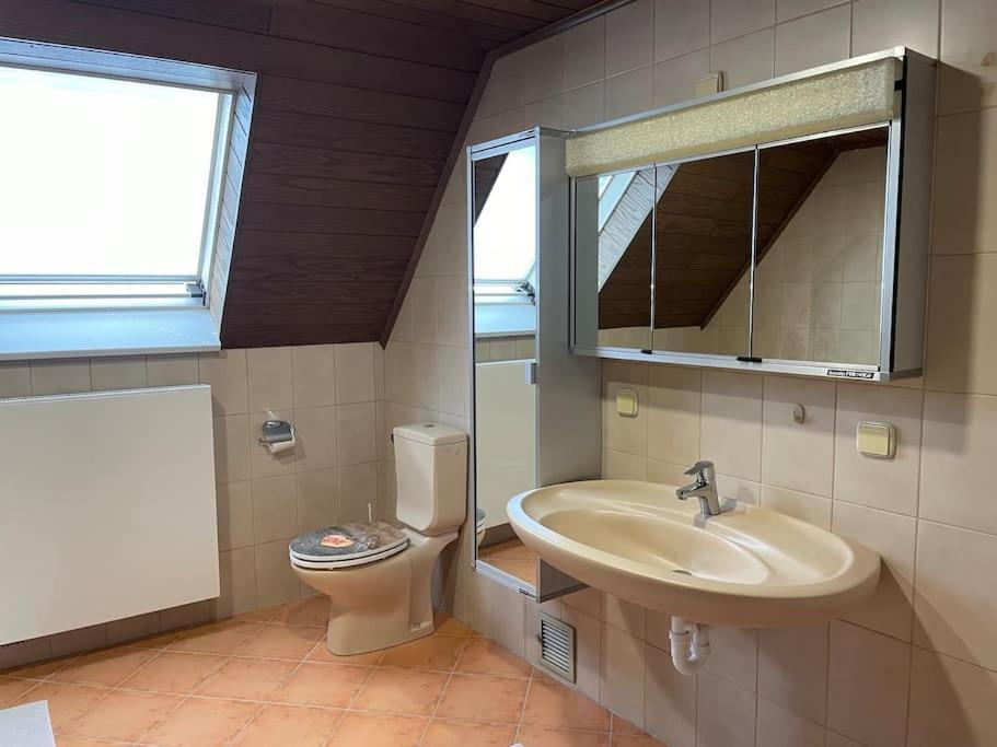 Maisonette Apartment Family & Business Naehe Heidelberg I Kueche I 6 Schlafplaetze Sinsheim Luaran gambar